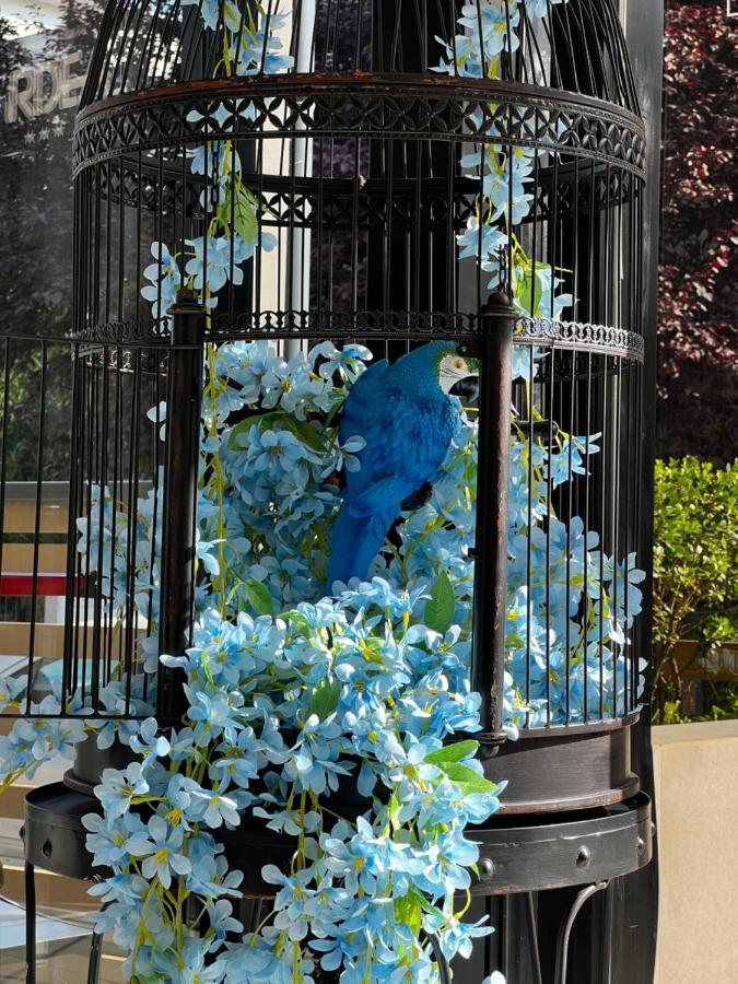 ריצ'יונה Hotel Ardea מראה חיצוני תמונה